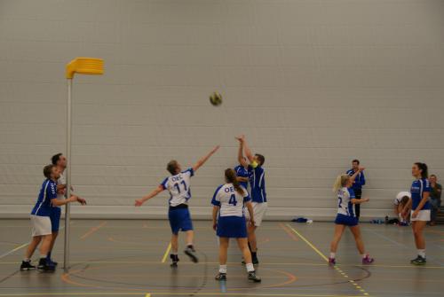 SONY DSC