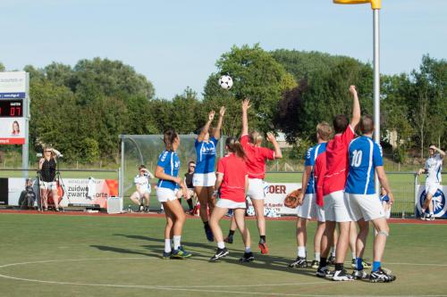 BW-Scheldevogels-17