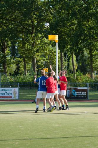BW-Scheldevogels-18