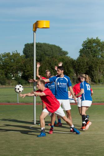 BW-Scheldevogels-19