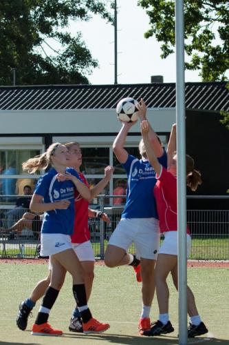BW-Scheldevogels-4